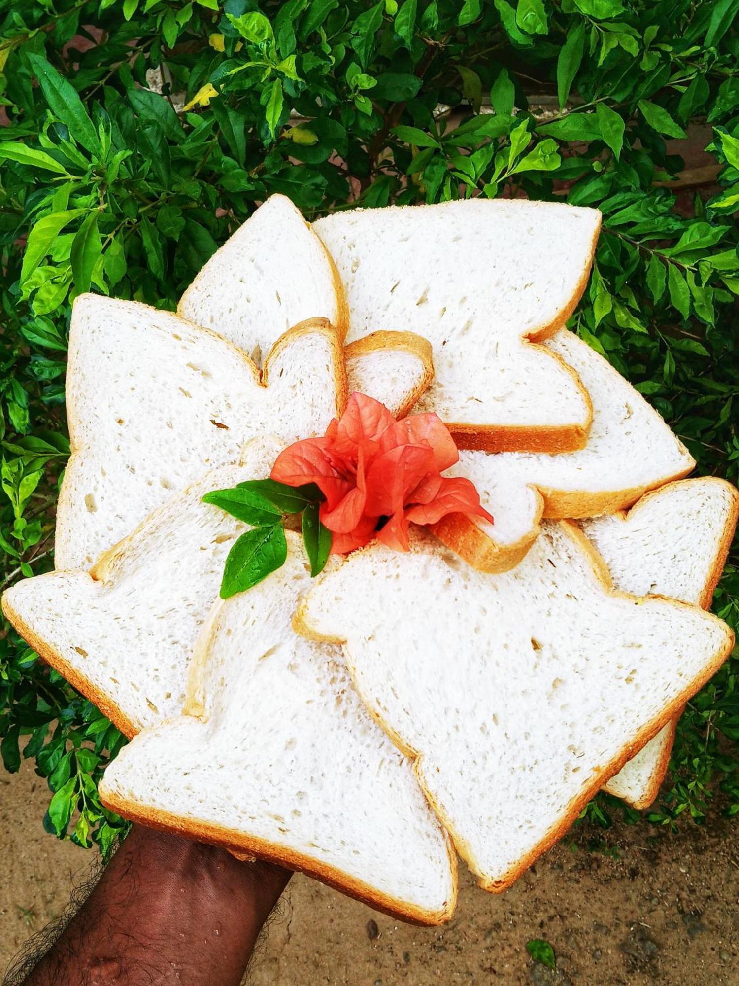 Venora Hiriketiya Bed & Breakfast Dikwella Ngoại thất bức ảnh