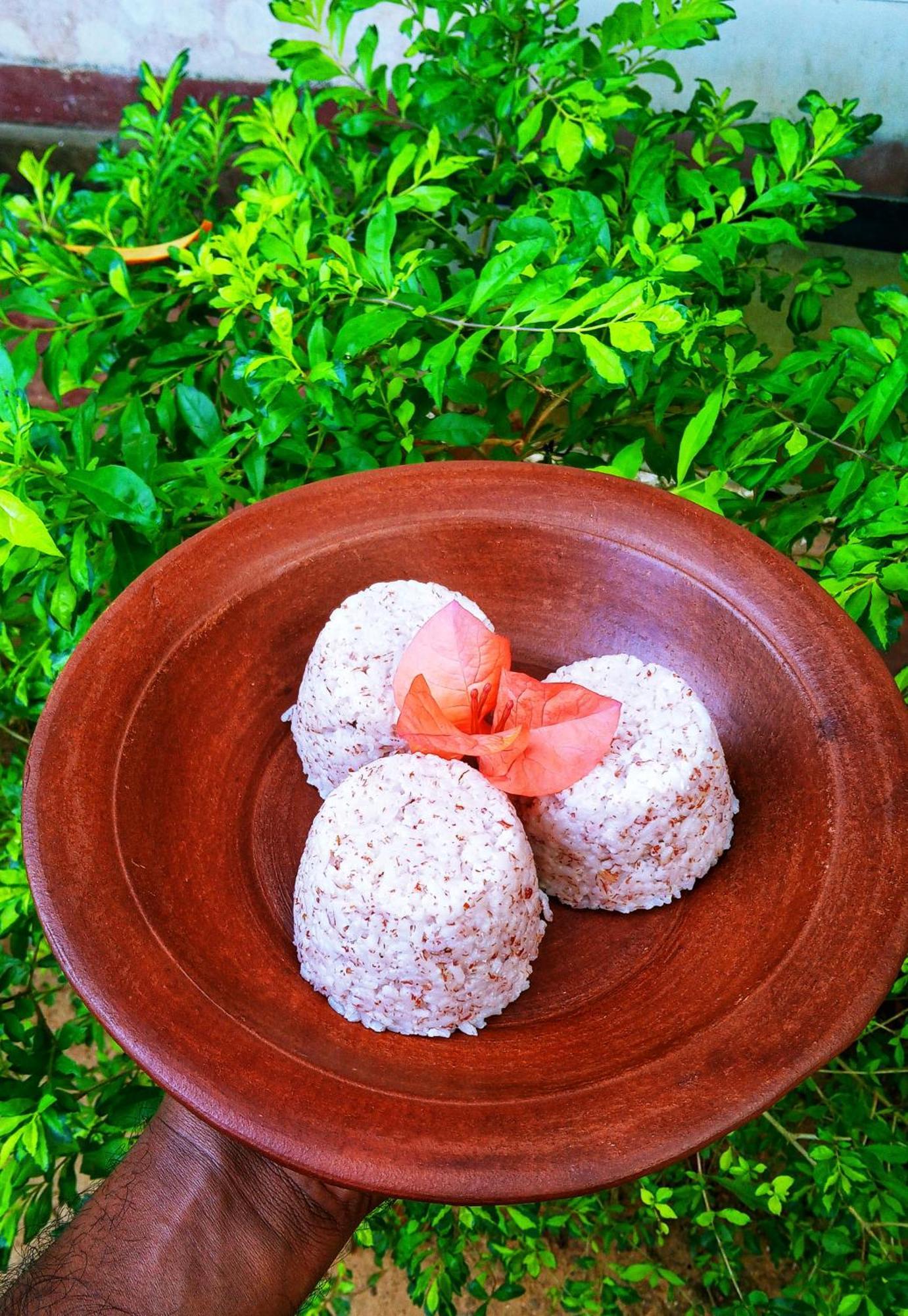 Venora Hiriketiya Bed & Breakfast Dikwella Ngoại thất bức ảnh